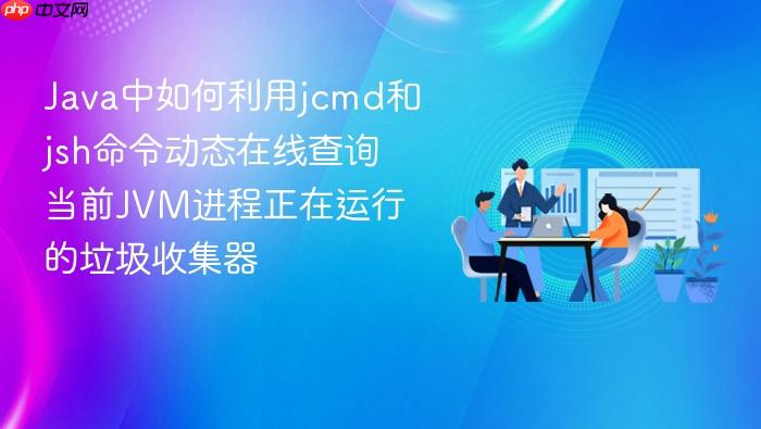 java中如何利用jcmd和jsh命令动态在线查询当前jvm进程正在运行的垃圾收集器