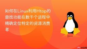 如何在linux利用htop的查找功能在数千个进程中精确定位特定的资源消费者