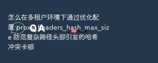 怎么在多租户环境下通过优化配置 proxy_headers_hash_max_size 防范复杂路径头部引发的哈希冲突卡顿