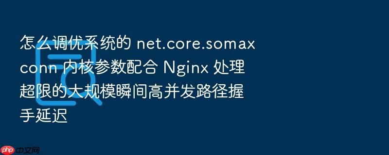 怎么调优系统的 net.core.somaxconn 内核参数配合 nginx 处理超限的大规模瞬间高并发路径握手延迟