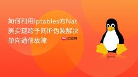 如何利用iptables的nat表实现跨子网ip伪装解决单向通信故障