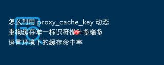 怎么利用 proxy_cache_key 动态重构缓存唯一标识符提升多端多语言环境下的缓存命中率