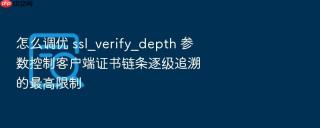 怎么调优 ssl_verify_depth 参数控制客户端证书链条逐级追溯的最高限制