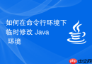 如何在命令行环境下临时修改 Java 环境