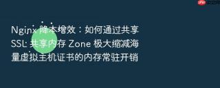 nginx 降本增效：如何通过共享 ssl 共享内存 zone 极大缩减海量虚拟主机证书的内存常驻开销