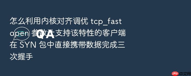 怎么利用内核对齐调优 tcp_fastopen 参数让支持该特性的客户端在 syn 包中直接携带数据完成三次握手