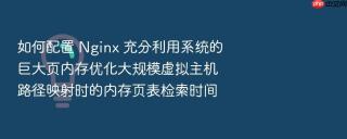 如何配置 nginx 充分利用系统的巨大页内存优化大规模虚拟主机路径映射时的内存页表检索时间