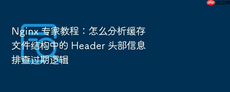 nginx 专家教程：怎么分析缓存文件结构中的 header 头部信息排查过期逻辑