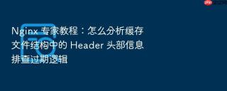 nginx 专家教程：怎么分析缓存文件结构中的 header 头部信息排查过期逻辑