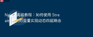 nginx 高级教程:如何使用 stream 模块的变量实现动态四层路由
