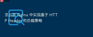 怎么在 nginx 中实现基于 http header 的负载策略