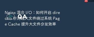 nginx 混合 i/o：如何开启 directio 针对超大文件绕过系统 page cache 提升大文件分发效率