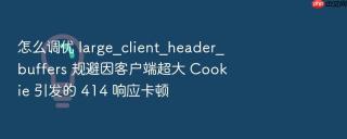 怎么调优 large_client_header_buffers 规避因客户端超大 cookie 引发的 414 响应卡顿