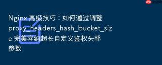 Nginx 高级技巧：如何通过调整 proxy_headers_hash_bucket_size 完美容纳超长自定义鉴权头部参数