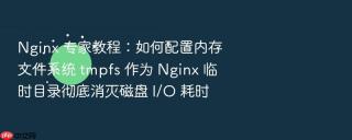 nginx 专家教程:如何配置内存文件系统 tmpfs 作为 nginx 临时目录彻底消灭磁盘 i/o 耗时