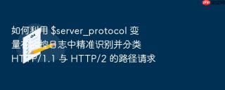 如何利用 $server_protocol 变量在监控日志中精准识别并分类 http/1.1 与 http/2 的路径请求