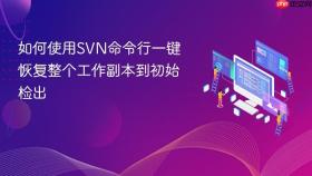 如何使用svn命令行一键恢复整个工作副本到初始检出