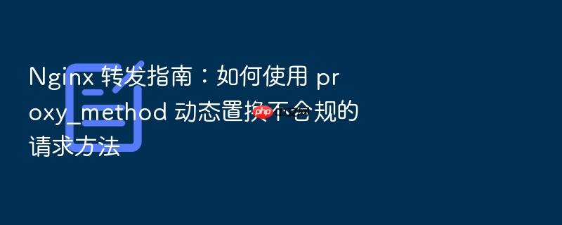 nginx 转发指南:如何使用 proxy_method 动态置换不合规的请求方法