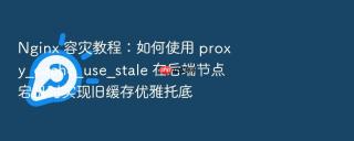Nginx 容灾教程：如何使用 proxy_cache_use_stale 在后端节点宕机时实现旧缓存优雅托底