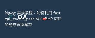 nginx 实战教程：如何利用 fastcgi_cache_path 优化 php 应用的动态页面缓存