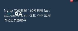Nginx 实战教程：如何利用 fastcgi_cache_path 优化 PHP 应用的动态页面缓存