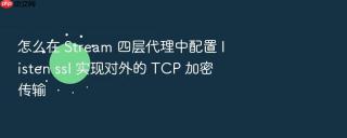 怎么在 Stream 四层代理中配置 listen ssl 实现对外的 TCP 加密传输