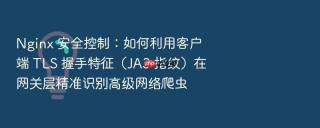 Nginx 安全控制：如何利用客户端 TLS 握手特征（JA3 指纹）在网关层精准识别高级网络爬虫