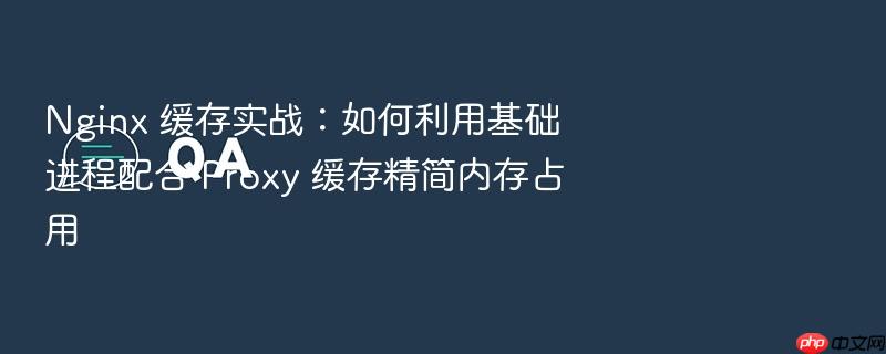 nginx 缓存实战:如何利用基础进程配合 proxy 缓存精简内存占用