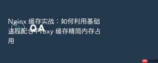 nginx 缓存实战:如何利用基础进程配合 proxy 缓存精简内存占用