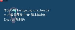 怎么巧用 fastcgi_ignore_headers 拦截并覆盖 PHP 脚本输出的 Expires 限制头