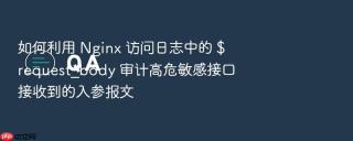 如何利用 nginx 访问日志中的 $request_body 审计高危敏感接口接收到的入参报文
