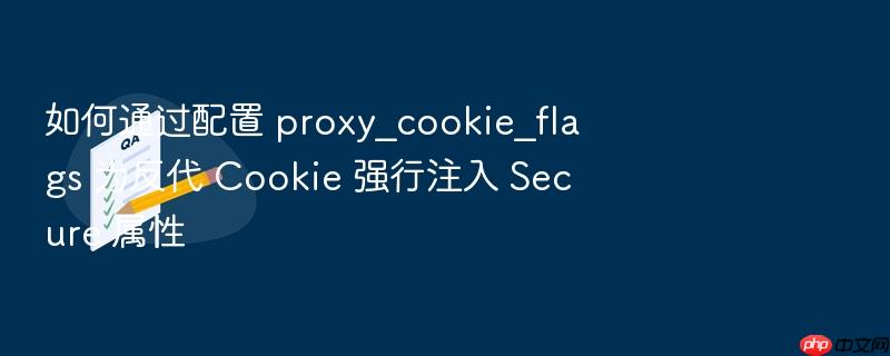 如何通过配置 proxy_cookie_flags 为反代 cookie 强行注入 secure 属性