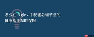 怎么在 nginx 中配置后端节点的健康探测超时逻辑