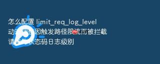怎么配置 limit_req_log_level 动态调整因触发路径限流而被拦截请求的状态码日志级别