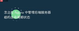 怎么在 nginx 中管理后端服务器组的生命周期状态