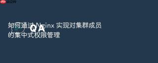 如何通过 nginx 实现对集群成员的集中式权限管理