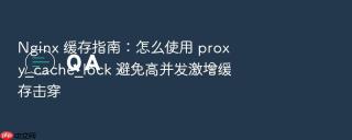 nginx 缓存指南:怎么使用 proxy_cache_lock 避免高并发激增缓存击穿