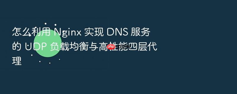 怎么利用 nginx 实现 dns 服务的 udp 负载均衡与高性能四层代理