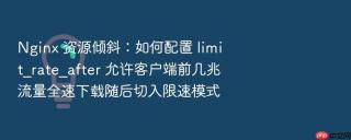 nginx 资源倾斜:如何配置 limit_rate_after 允许客户端前几兆流量全速下载随后切入限速模式