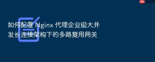 如何配置 Nginx 代理企业级大并发长连接架构下的多路复用网关
