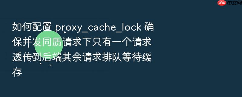 如何配置 proxy_cache_lock 确保并发同质请求下只有一个请求透传到后端其余请求排队等待缓存