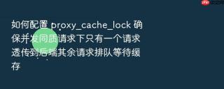 如何配置 proxy_cache_lock 确保并发同质请求下只有一个请求透传到后端其余请求排队等待缓存