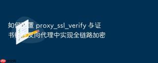 如何配置 proxy_ssl_verify 与证书链在反向代理中实现全链路加密