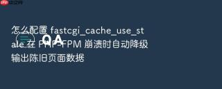 怎么配置 fastcgi_cache_use_stale 在 PHP-FPM 崩溃时自动降级输出陈旧页面数据