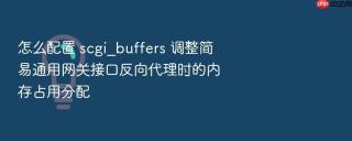 怎么配置 scgi_buffers 调整简易通用网关接口反向代理时的内存占用分配