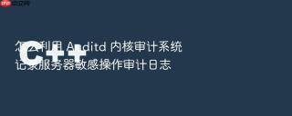 怎么利用 auditd 内核审计系统记录服务器敏感操作审计日志