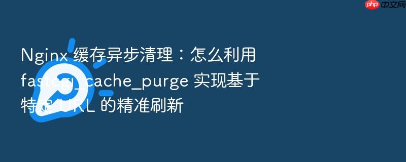 nginx 缓存异步清理:怎么利用 fastcgi_cache_purge 实现基于特定 url 的精准刷新