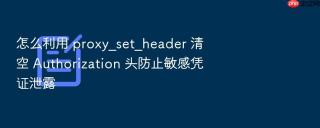 怎么利用 proxy_set_header 清空 authorization 头防止敏感凭证泄露
