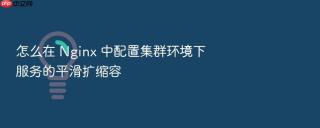 怎么在 nginx 中配置集群环境下服务的平滑扩缩容