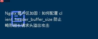 nginx 缓冲区加固:如何配置 client_header_buffer_size 防止畸形超长请求头溢出攻击